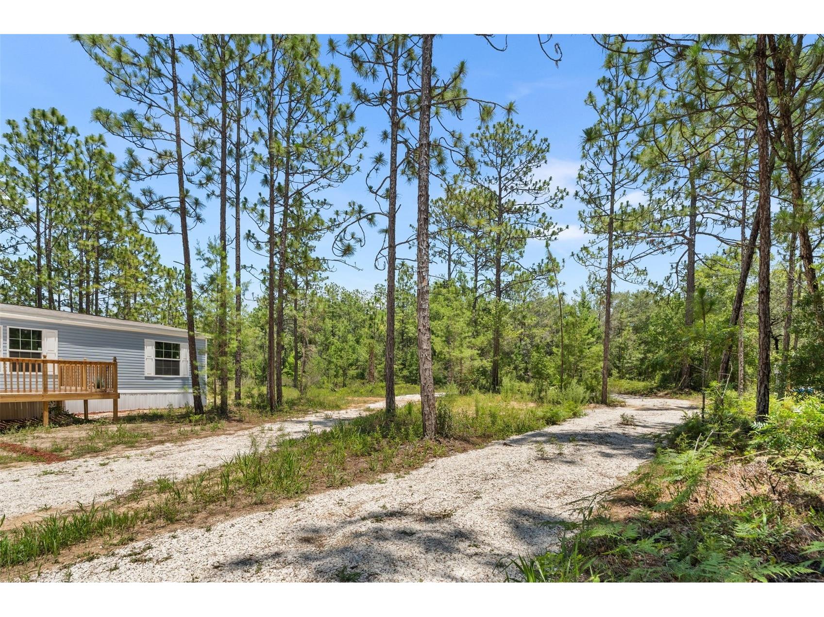 419 Lily Trail Interlachen FL 32148 GC541505 image33