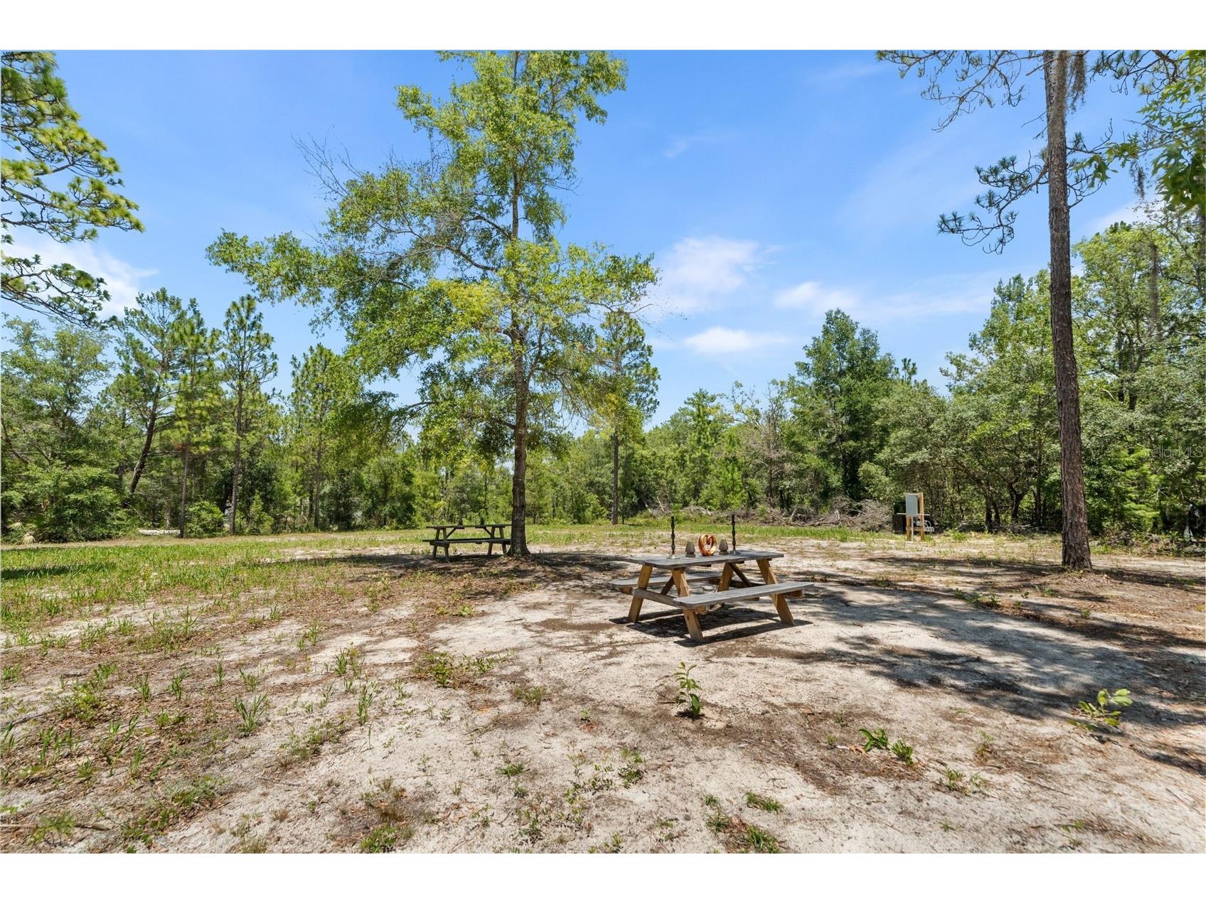 419 Lily Trail Interlachen FL 32148 GC541505 image38