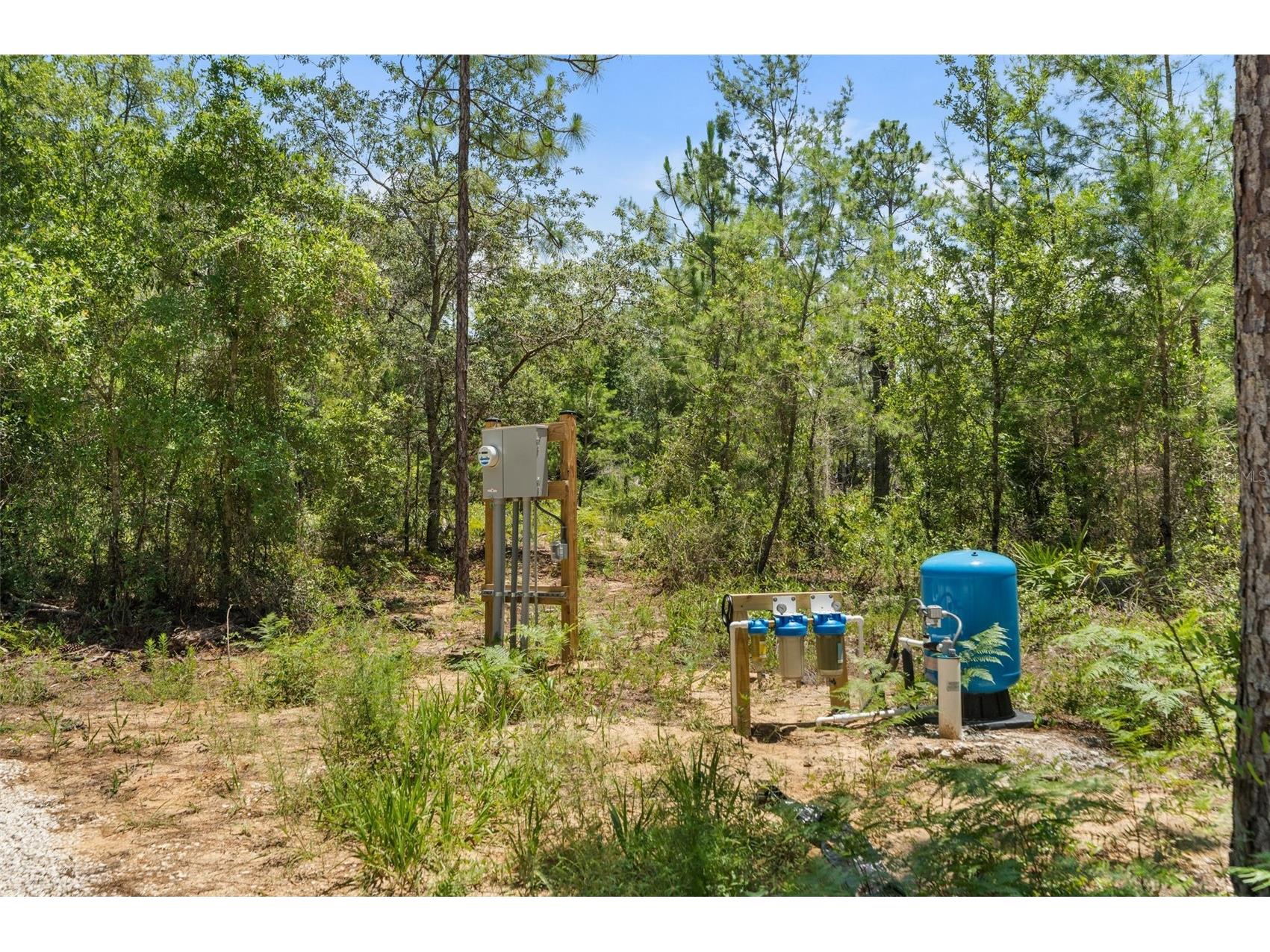 419 Lily Trail Interlachen FL 32148 GC541505 image41