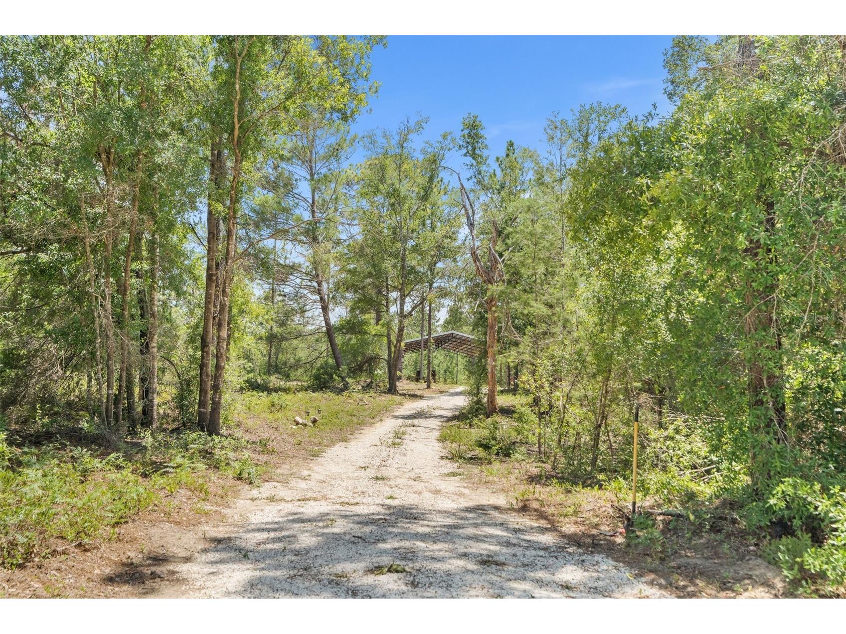 419 Lily Trail Interlachen FL 32148 GC541505 image45