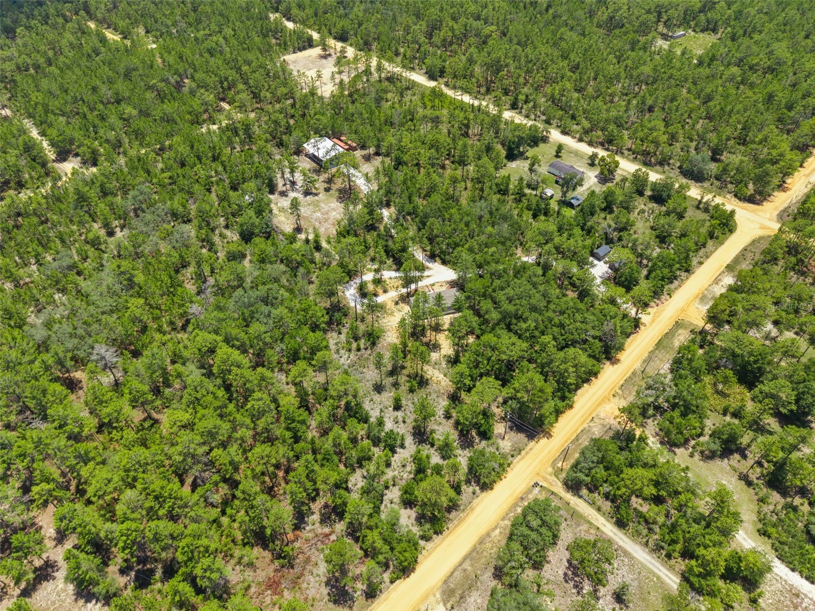 419 Lily Trail Interlachen FL 32148 GC541505 image48
