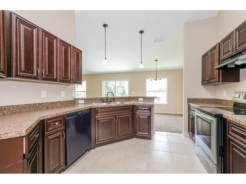 419 Marion Oaks Pass Ocala FL 34473 O6373340 image8