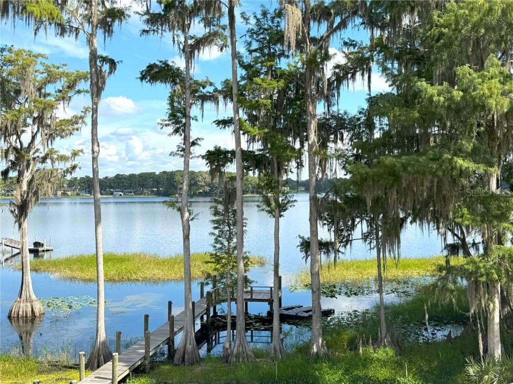 419 N Apopka Avenue Inverness FL 34450 OM708942 image64