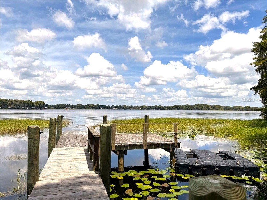 419 N Apopka Avenue Inverness FL 34450 OM708942 image70