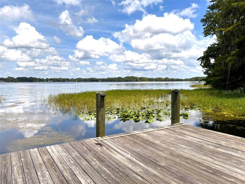 419 N Apopka Avenue Inverness FL 34450 OM708942 image72