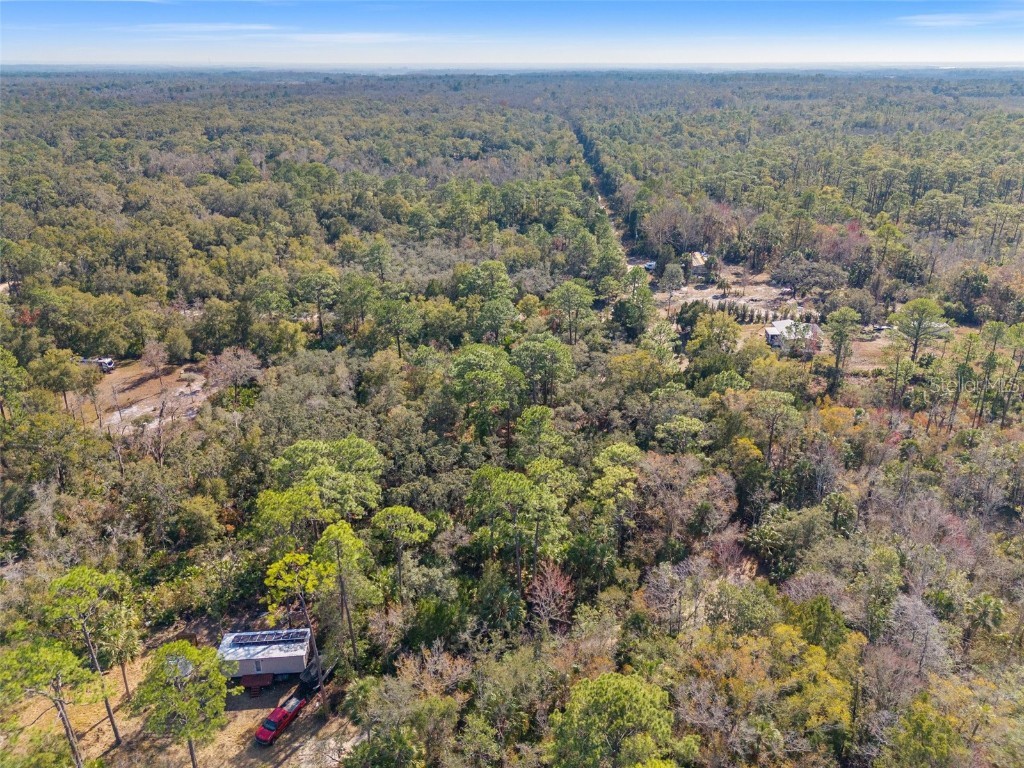 419 N Vesper Point Crystal River FL 34429 W7880154 image10