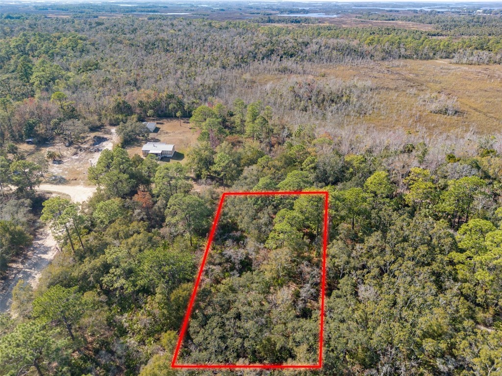 419 N Vesper Point Crystal River FL 34429 W7880154 image3