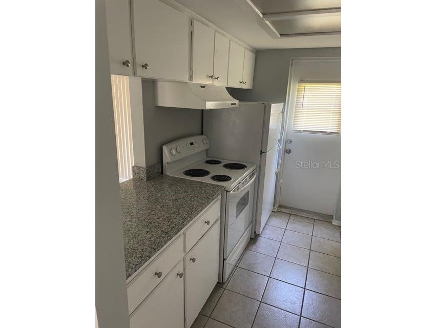 419 Pineapple Street #3 Tarpon Springs FL 34689 TB8529842 image5