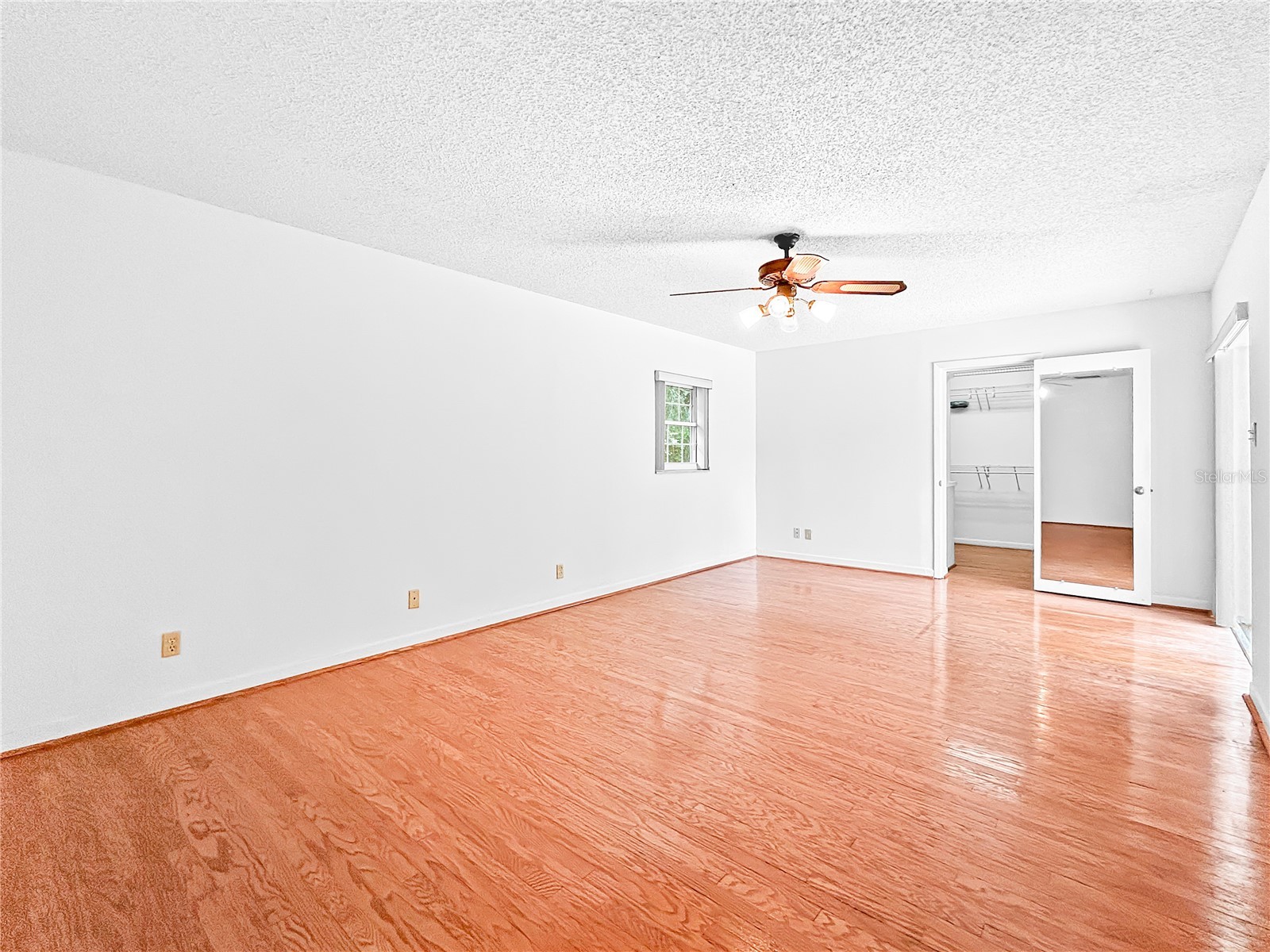 419 Pinellas Road Winter Haven FL 33884 TB8521750 image12