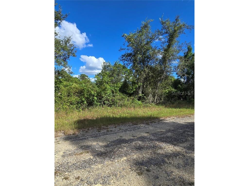 419 Wilder Avenue S Lehigh Acres FL 33974 O6354278 image3