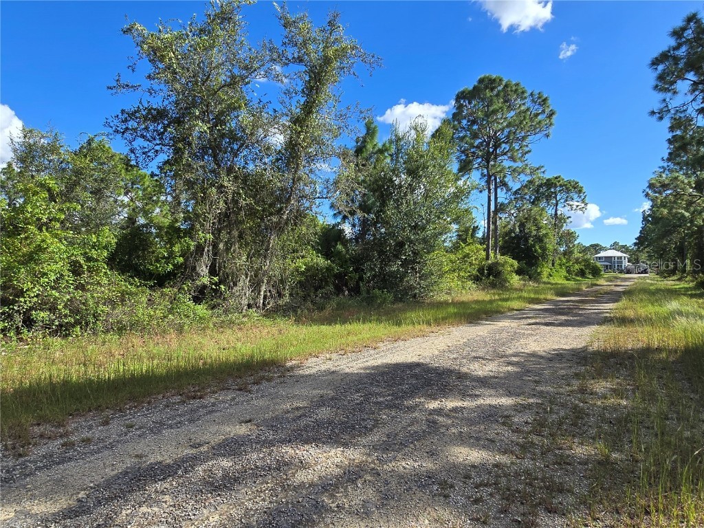 419 Wilder Avenue S Lehigh Acres FL 33974 O6354278 image4