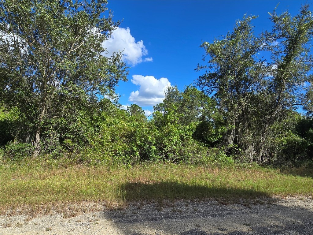 419 Wilder Avenue S Lehigh Acres FL 33974 O6354278 image5