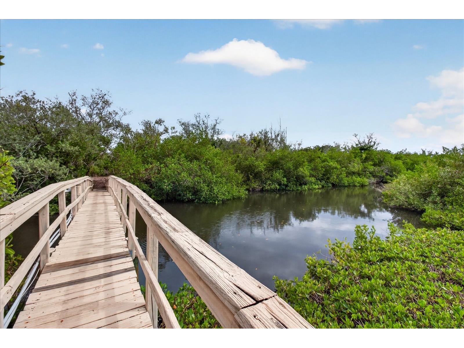 4190 Strombus Road Venice FL 34293 - ALLIGATOR CREEK A4691122 image41
