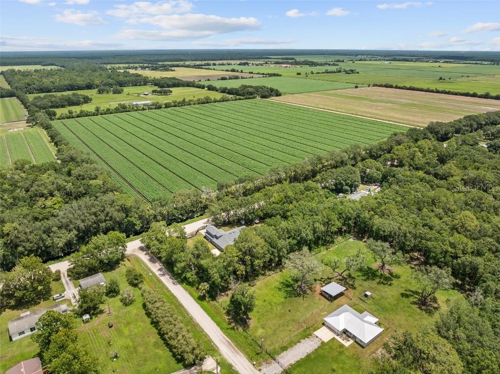 4191 Canal Avenue Bunnell FL 32110 V4943710 image74