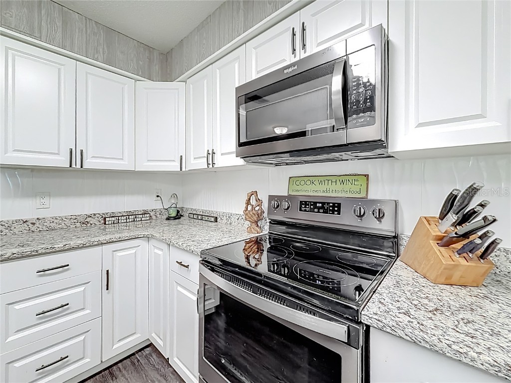 4192 Cr 400 Lake Panasoffkee FL 33538 O6363687 image12