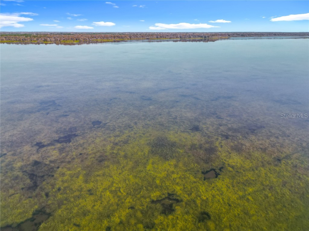 4192 Cr 400 Lake Panasoffkee FL 33538 O6363687 image44