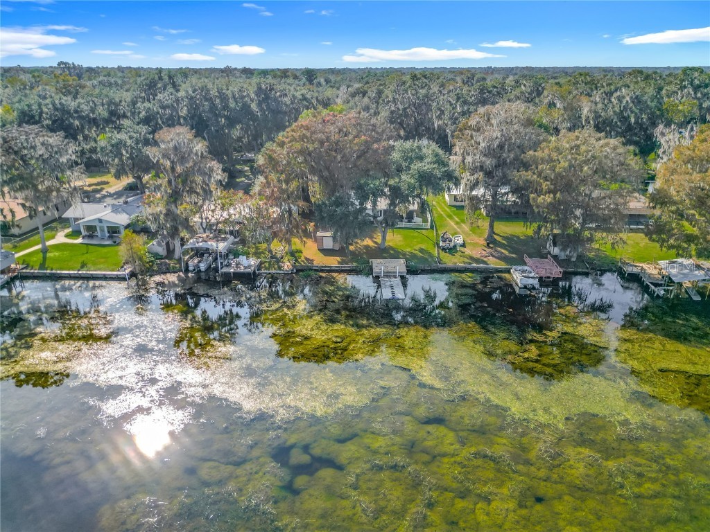 4192 Cr 400 Lake Panasoffkee FL 33538 O6363687 image48