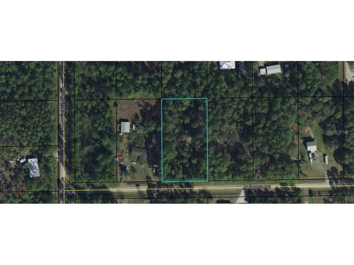 4192 Oleander Avenue Bunnell FL 32110 FC290780 image1