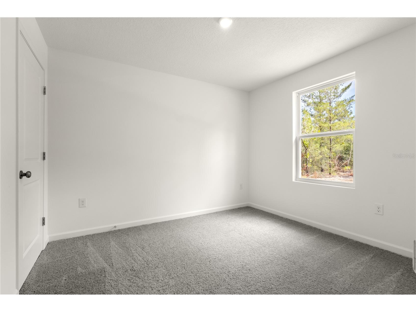 4192 Oleander Avenue Bunnell FL 32110 C7520280 image10