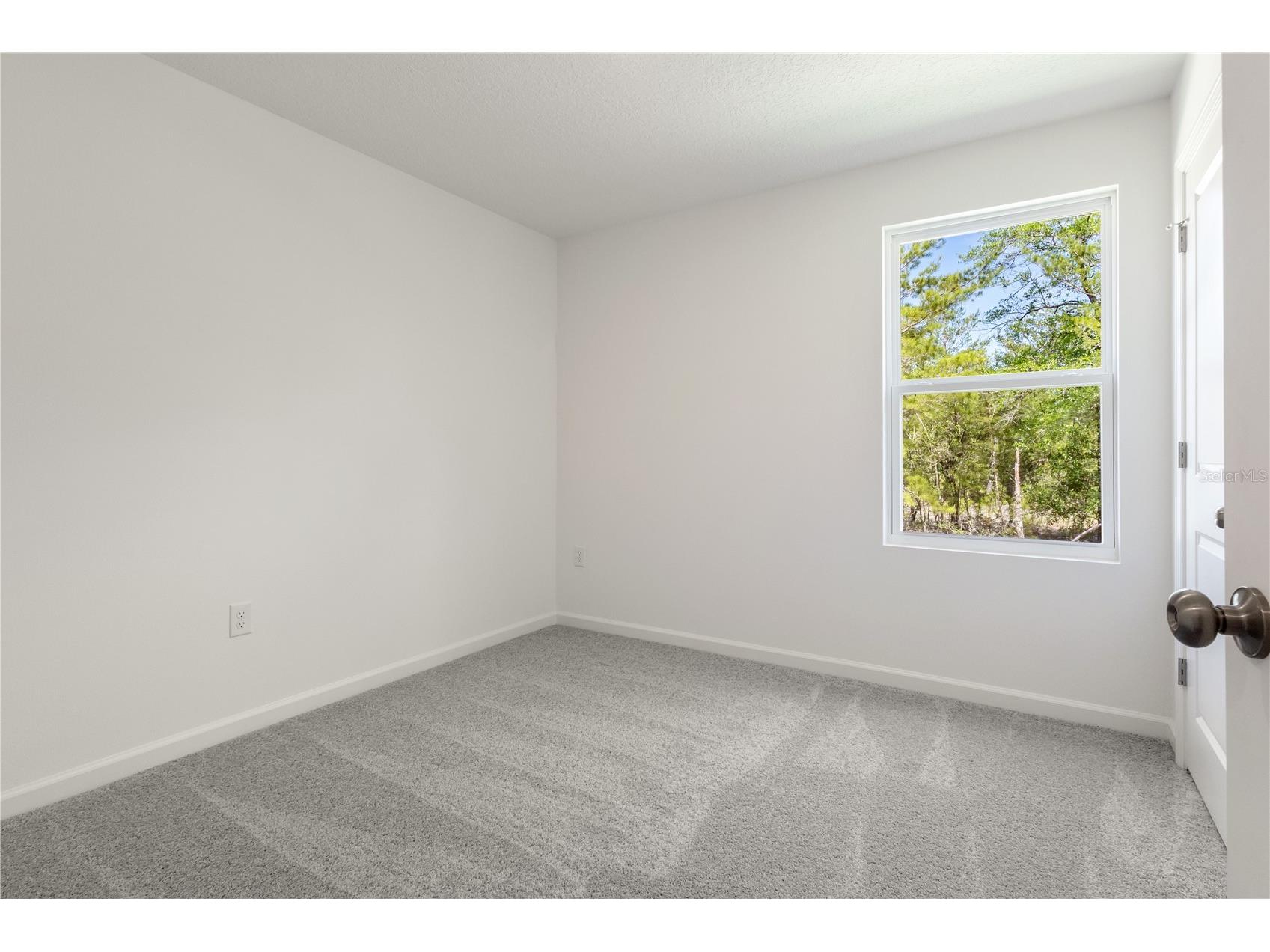 4192 Oleander Avenue Bunnell FL 32110 C7520280 image8