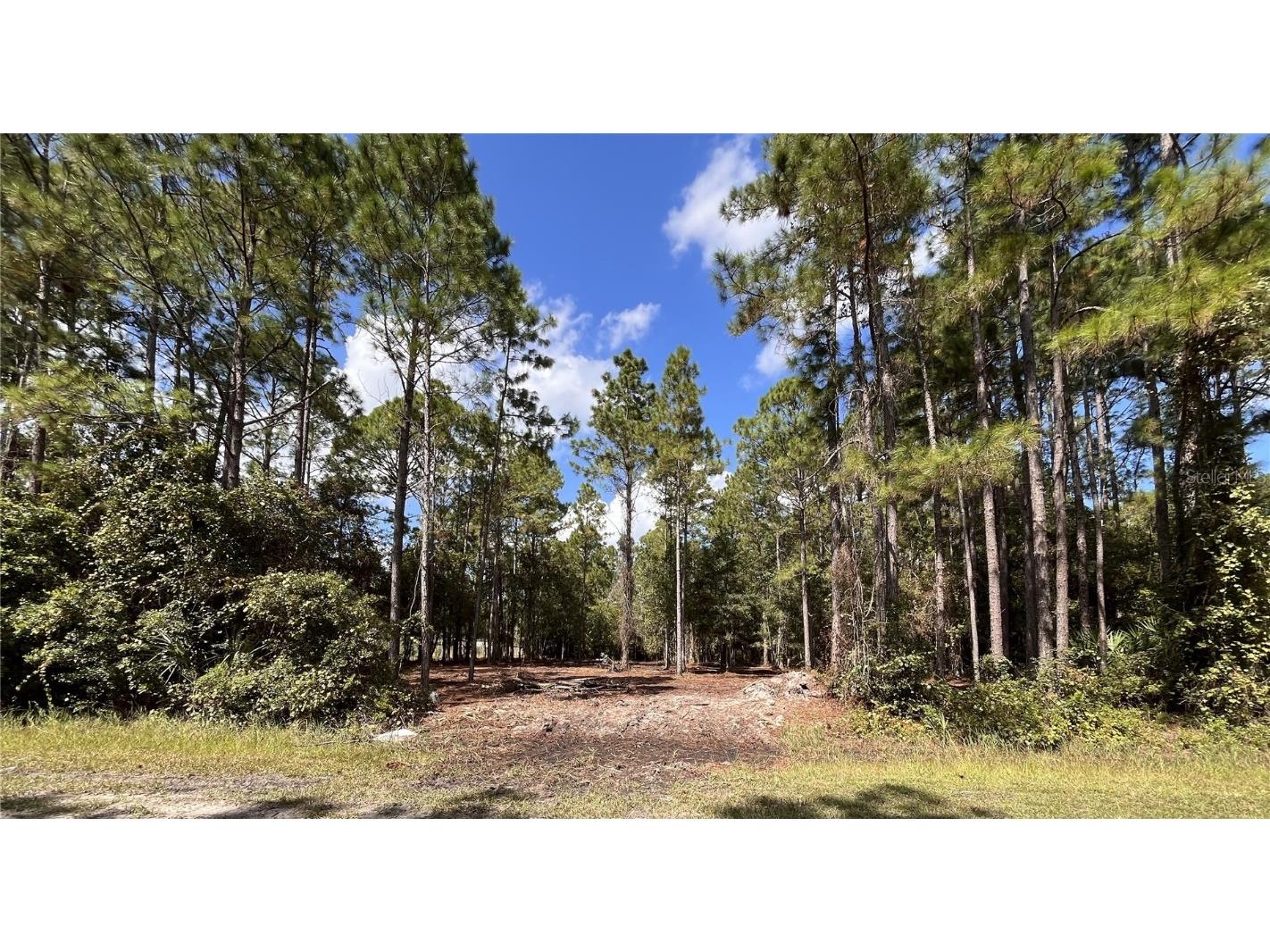 4192 Oleander Avenue Bunnell FL 32110 V4939434 image1