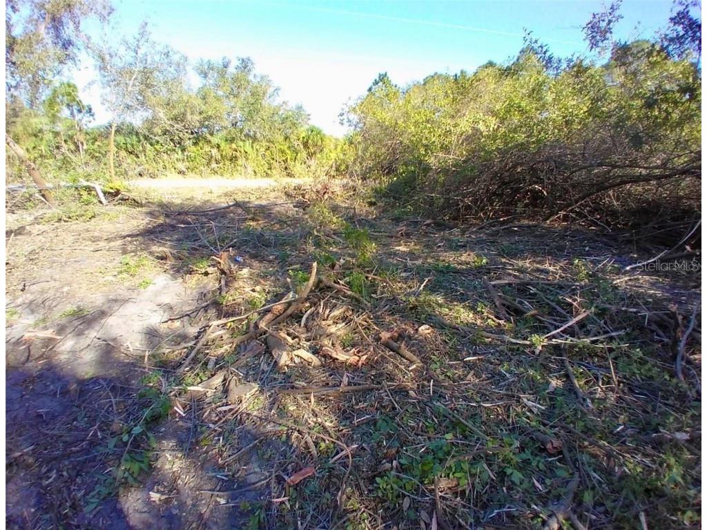 4193 Chippewa Street Port Charlotte FL 33981 A4668473 image4