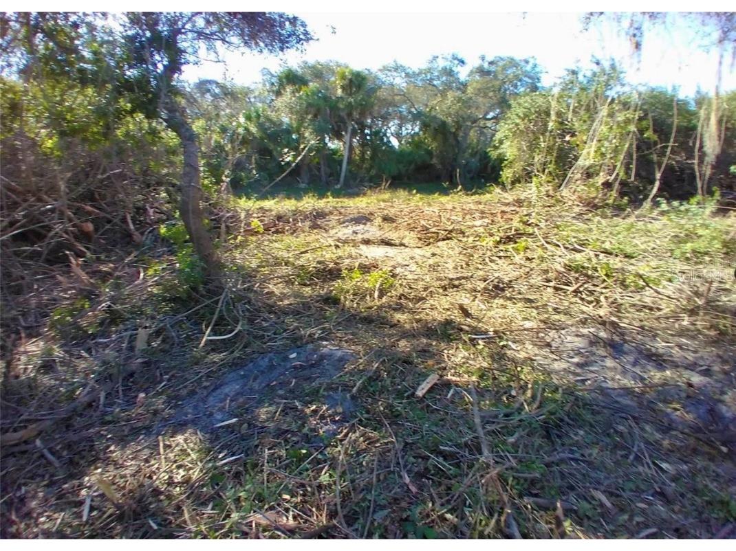 4193 Chippewa Street Port Charlotte FL 33981 A4668473 image5