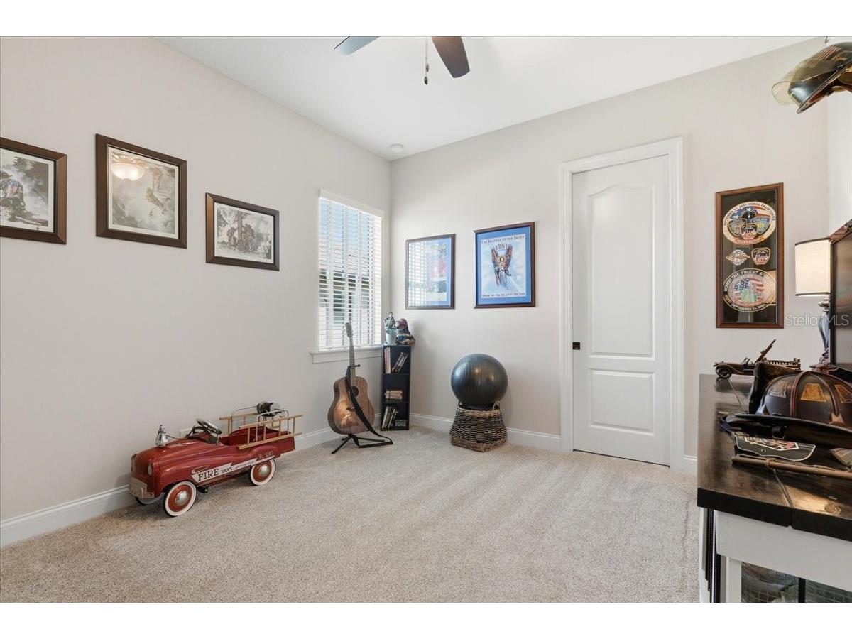 4193 Juliana Lake Drive Auburndale FL 33823 L4960647 image53