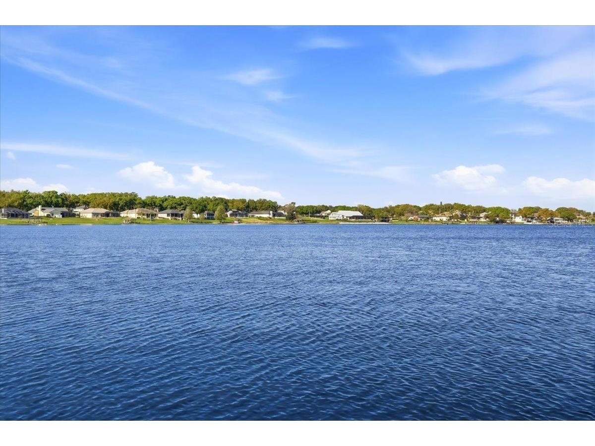 4193 Juliana Lake Drive Auburndale FL 33823 L4960647 image74