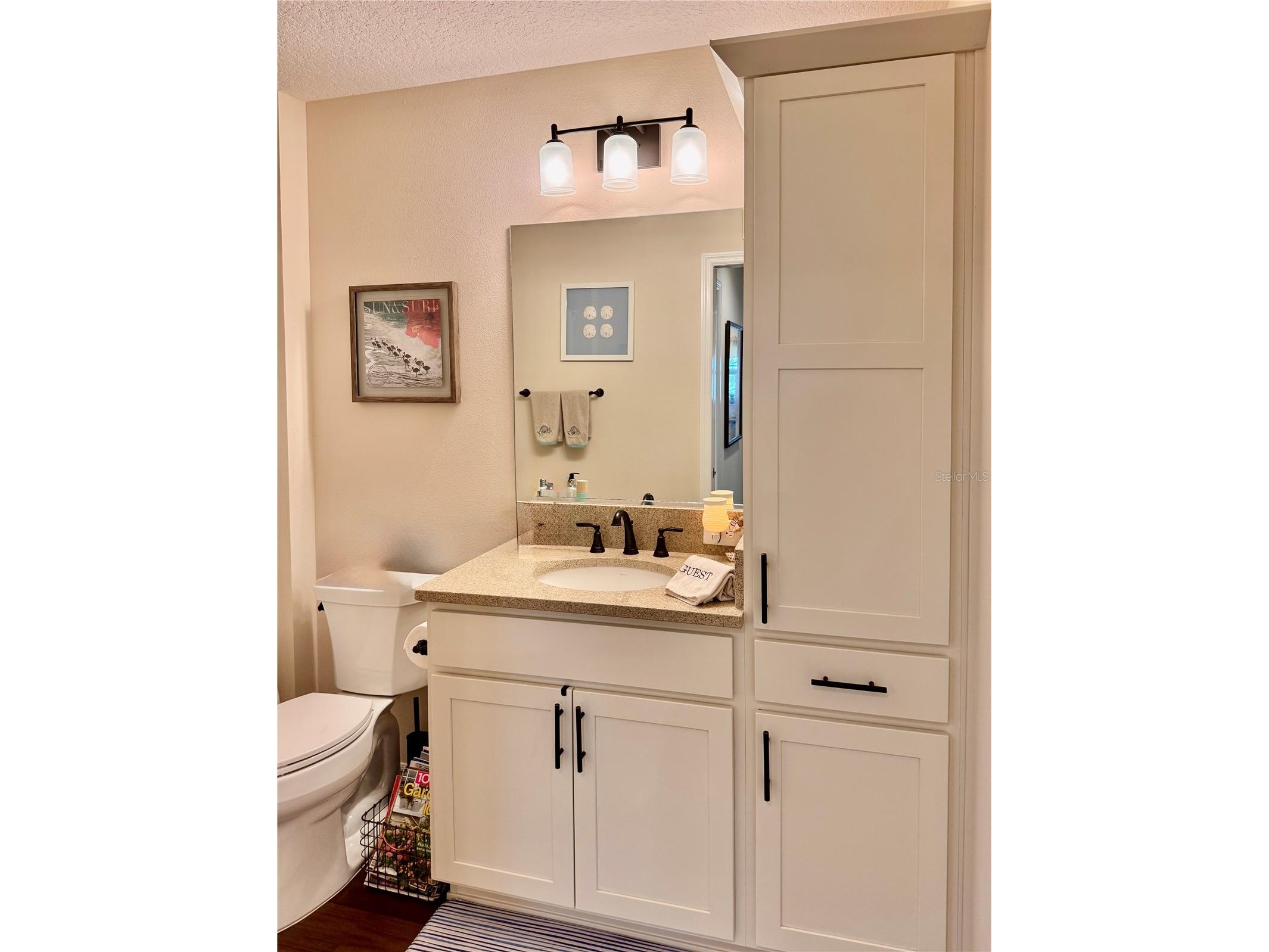 4193 Silvana Way The Villages FL 32163 G5109267 image18