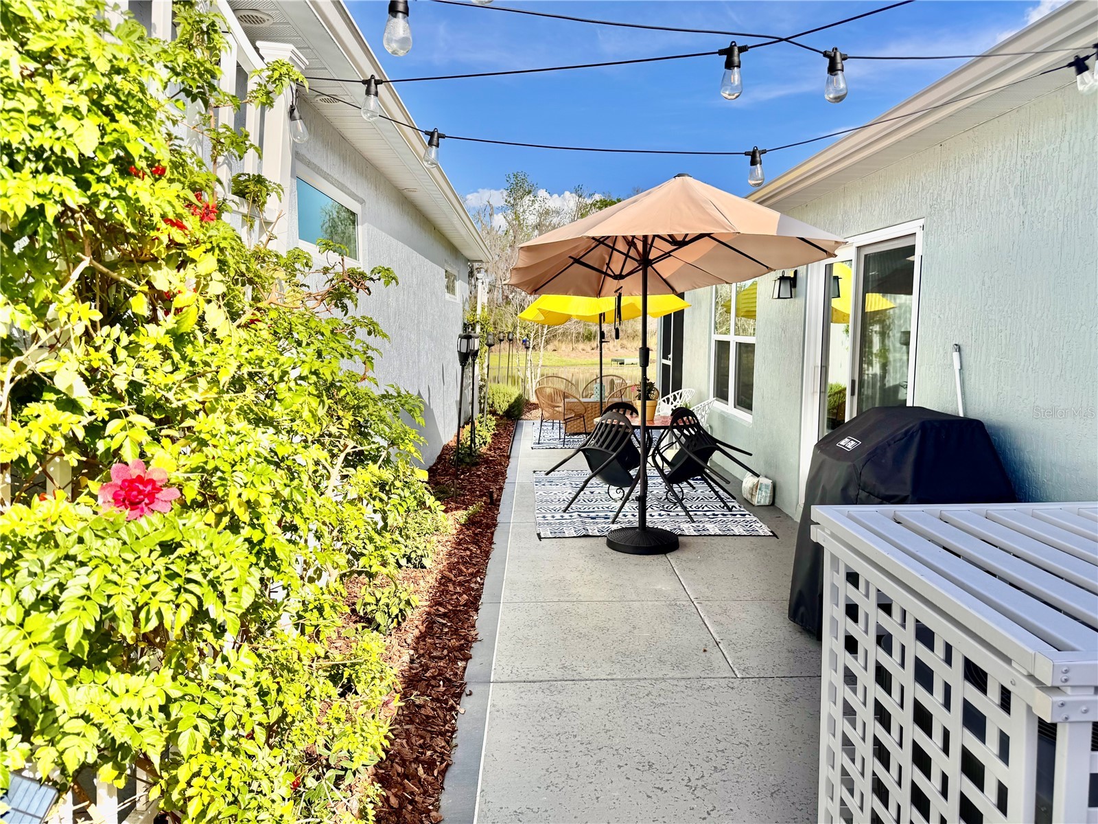 4193 Silvana Way The Villages FL 32163 G5109267 image21