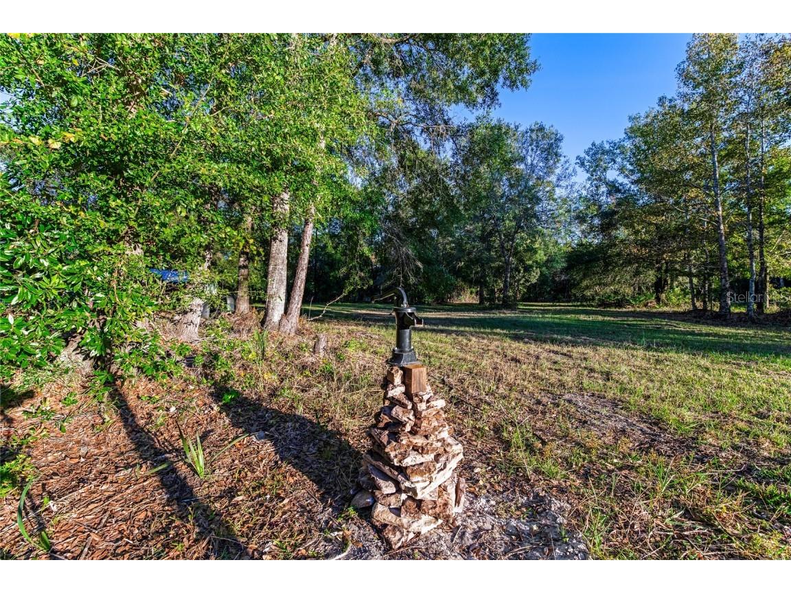 4195 County Road 305 Bunnell FL 32110 O6259671 image30