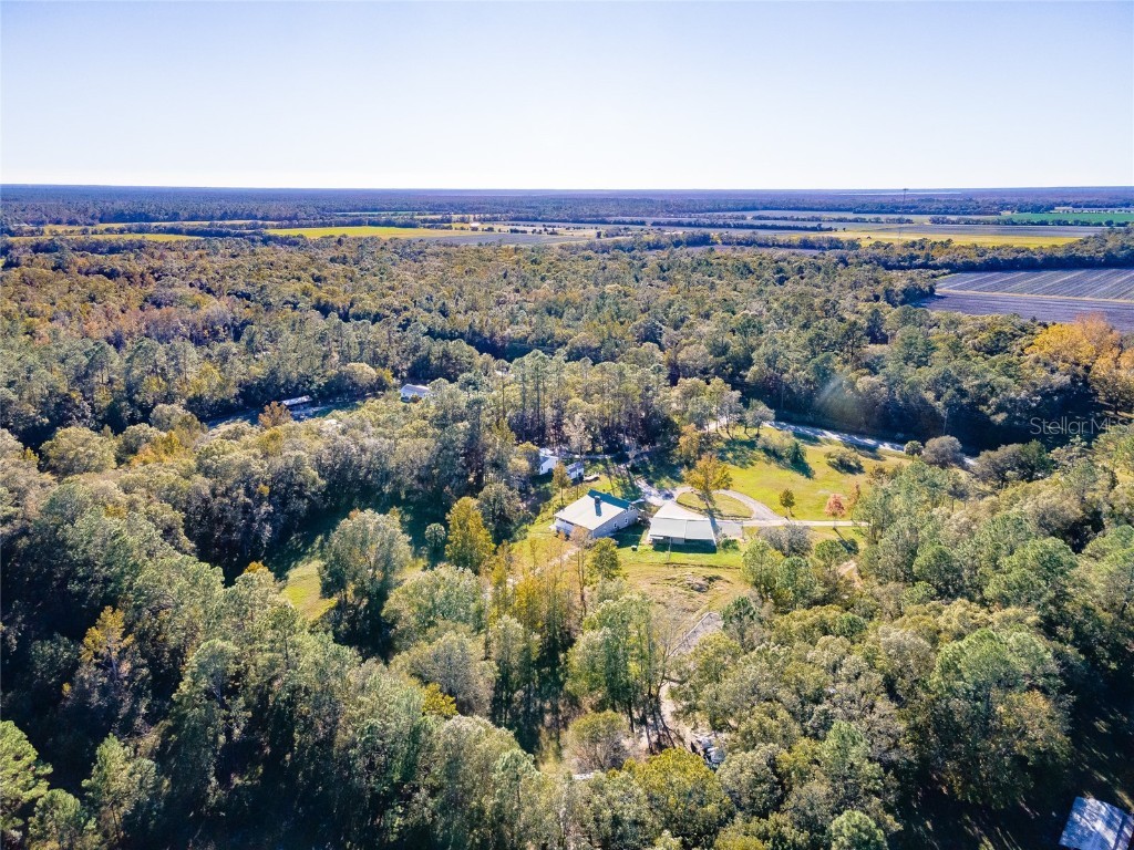 4195 County Road 305 Bunnell FL 32110 O6259671 image37