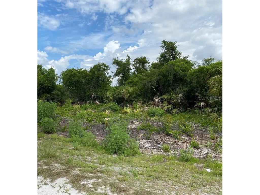 4195 E 30th Street Alva FL 33920 T3433169 image1