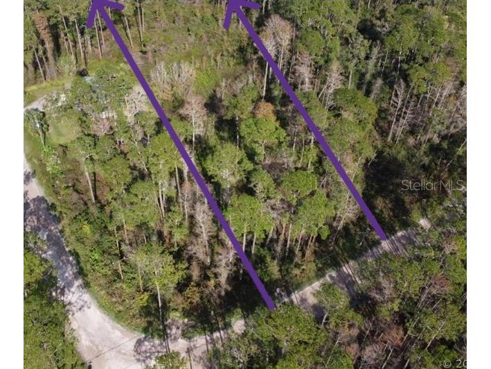 4195 Quail Nest Lane New Smyrna Beach FL 32168 R4907173 image1