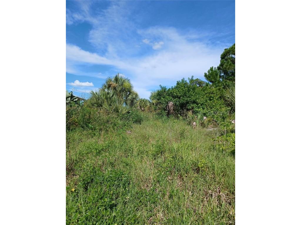 4195 Spire Street Port Charlotte FL 33981 O6258547 image5