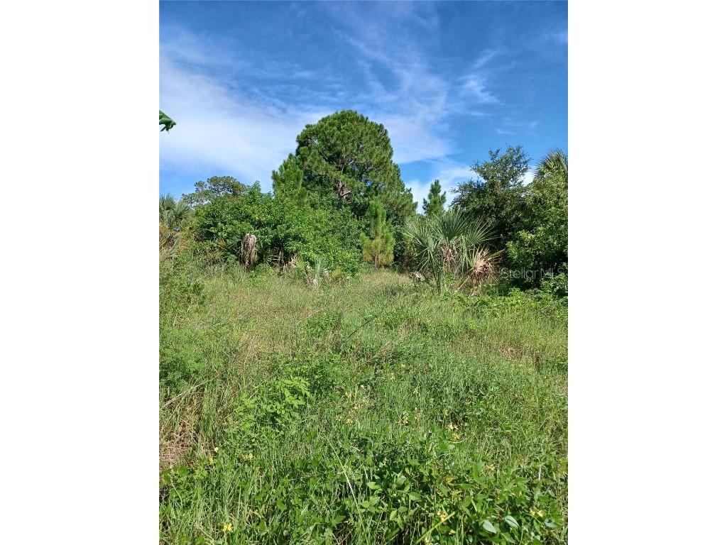 4195 Spire Street Port Charlotte FL 33981 O6258547 image6