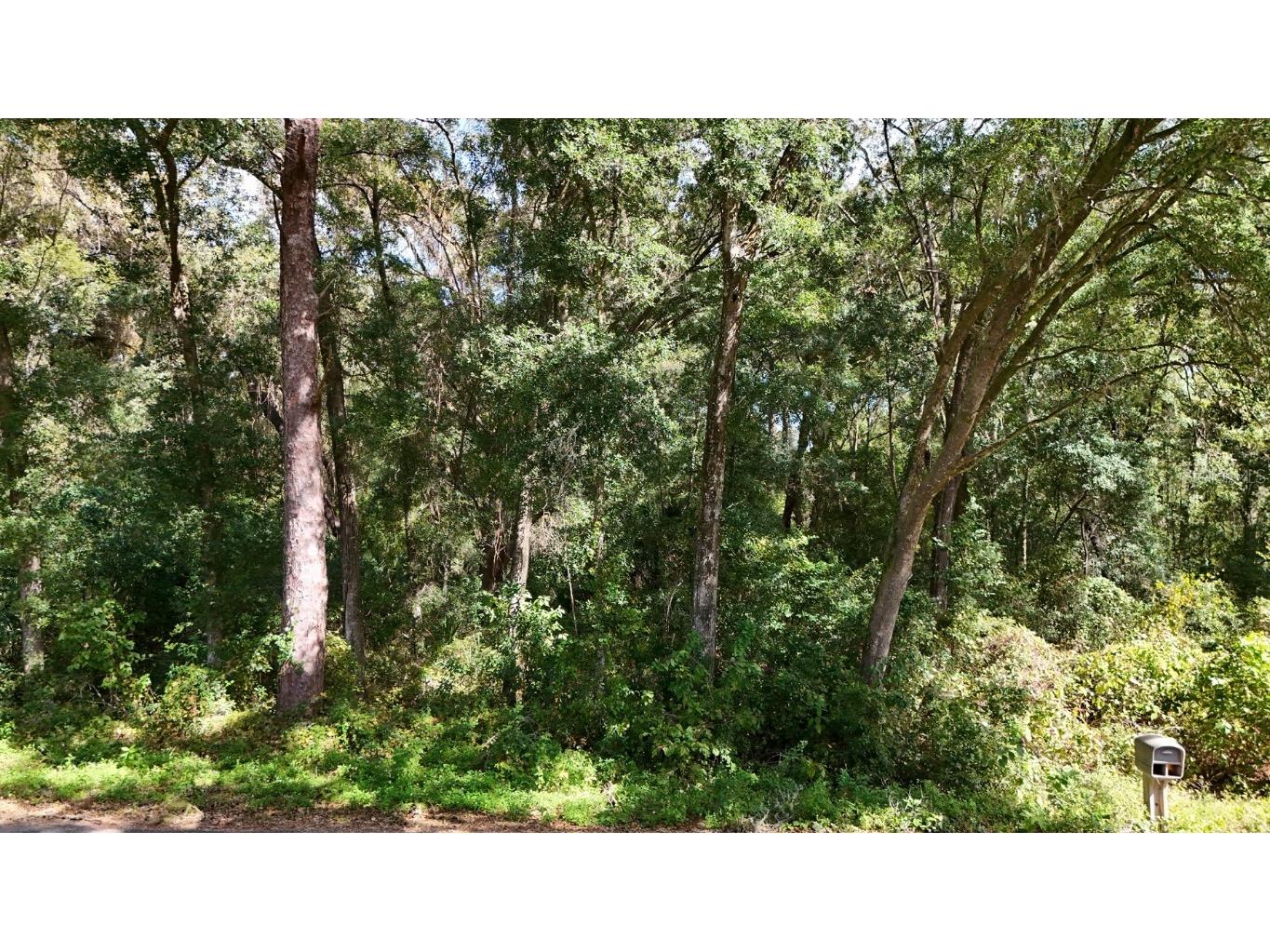 4197 N Indianriver Drive Hernando FL 34442 OM688203 image1