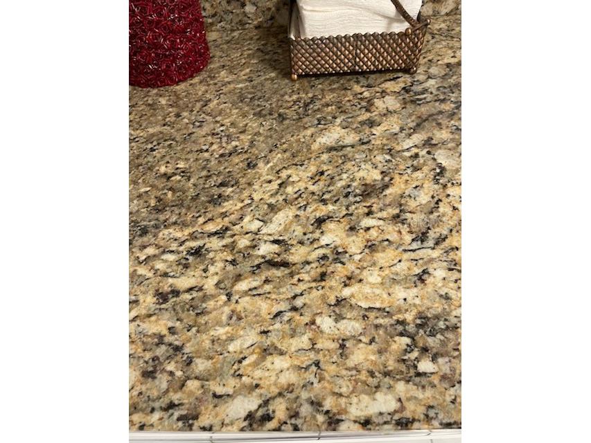 4199 38th Avenue S #I Saint Petersburg FL 33711 TB8326345 image7