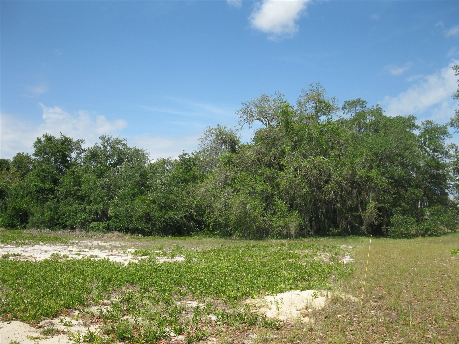 4199 Jacaranda Drive Lake Wales FL 33898 L4961695 image1