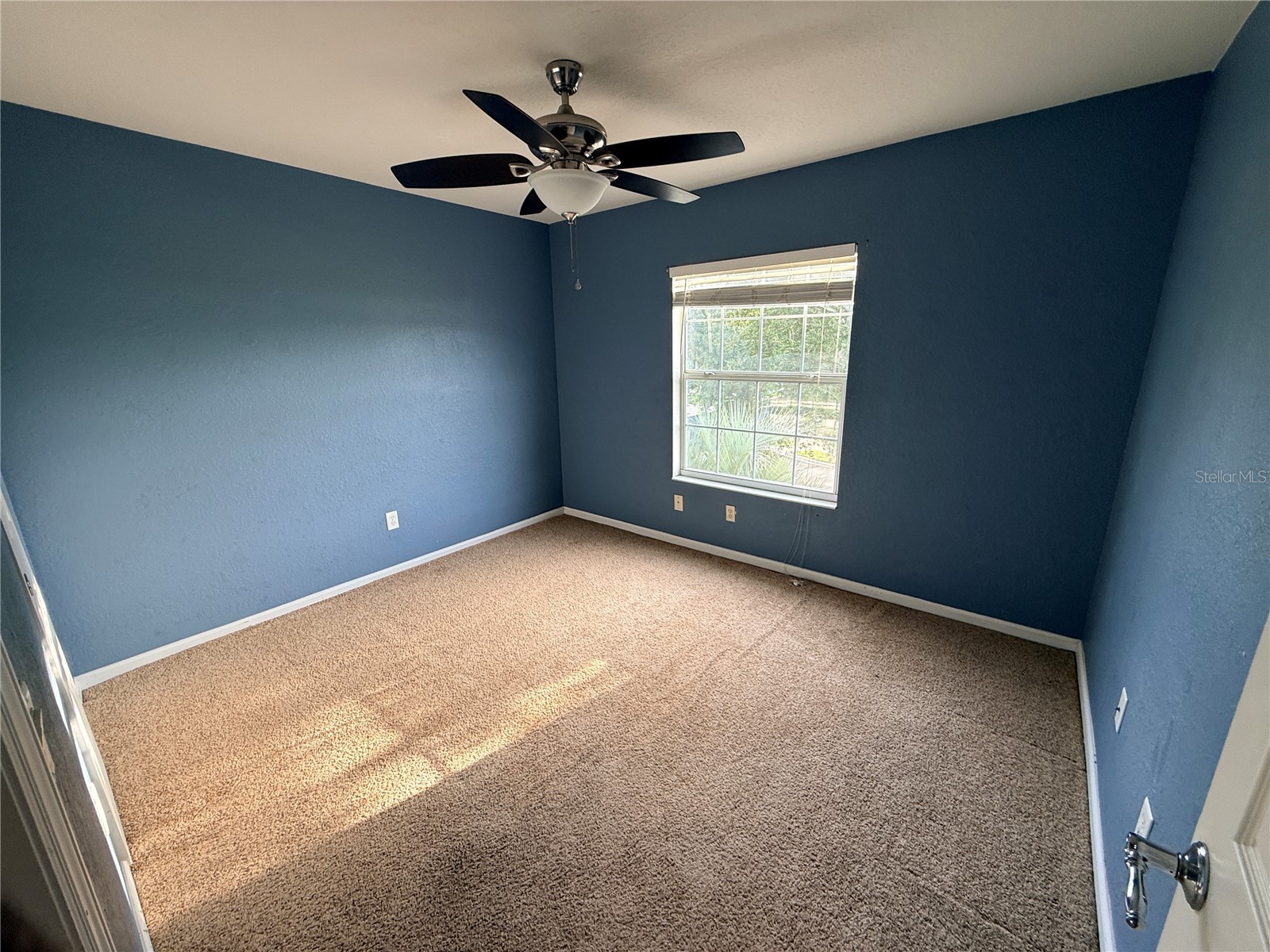 4199 SW 46th Court Ocala FL 34474 OM723737 image33