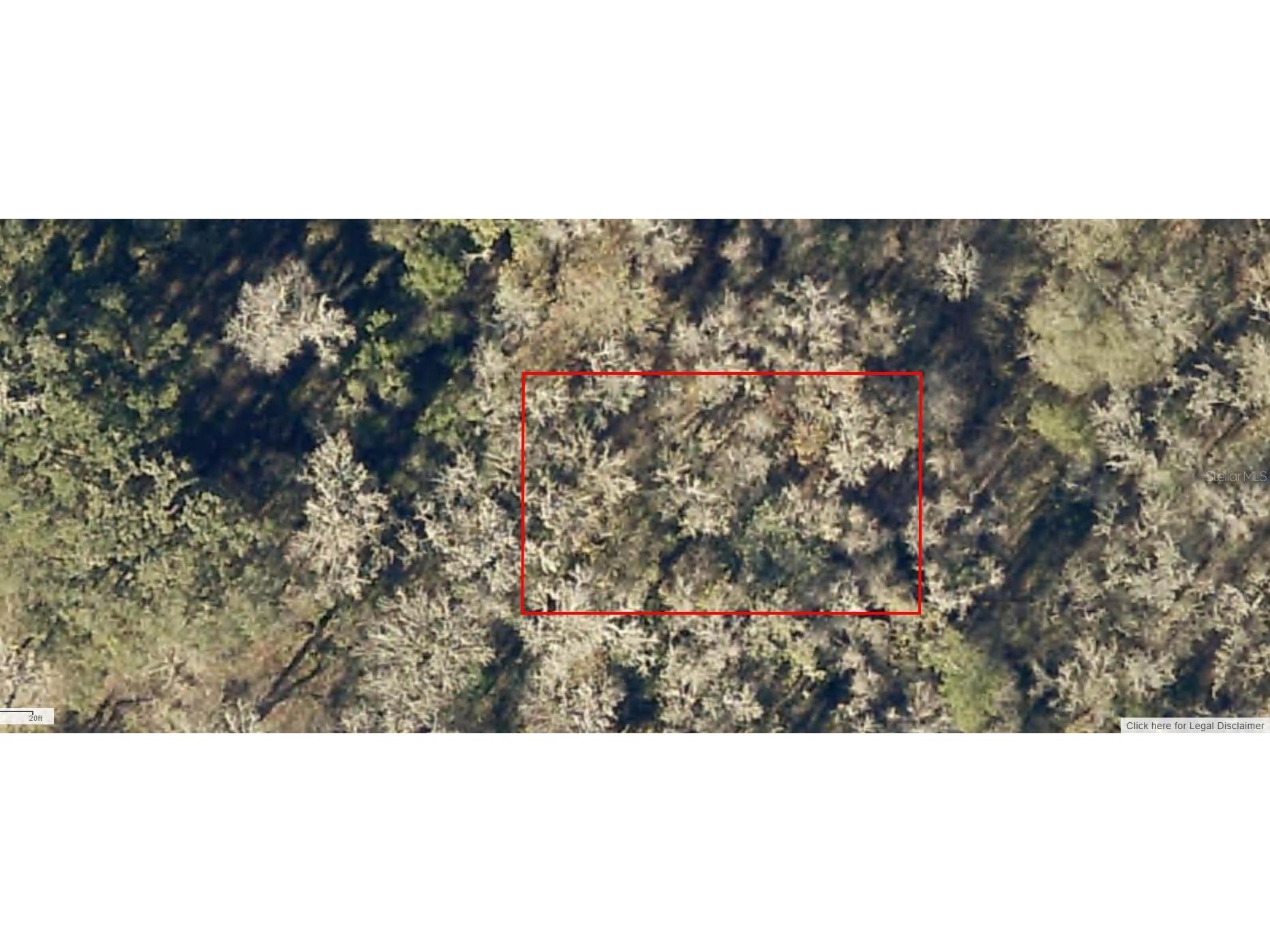 4214-174-010 SE 41st Terrace Belleview FL 34420 A4564984 image1