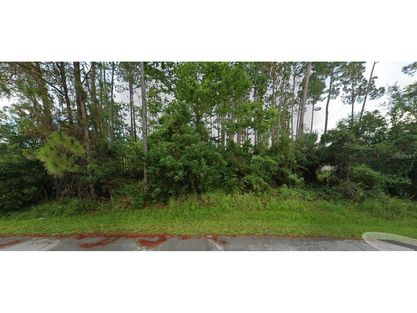 42 Burning Sands Lane Palm Coast FL 32137 NS1082815 image1