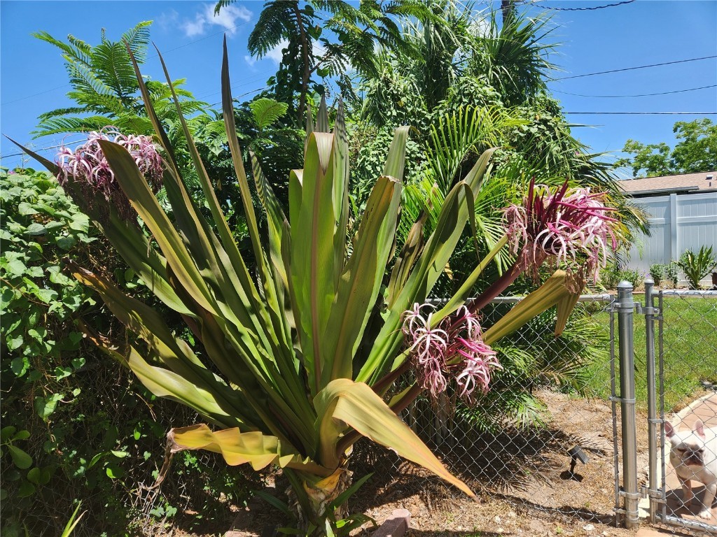 42 E Wentworth Street Englewood FL 34223 N6141397 image64