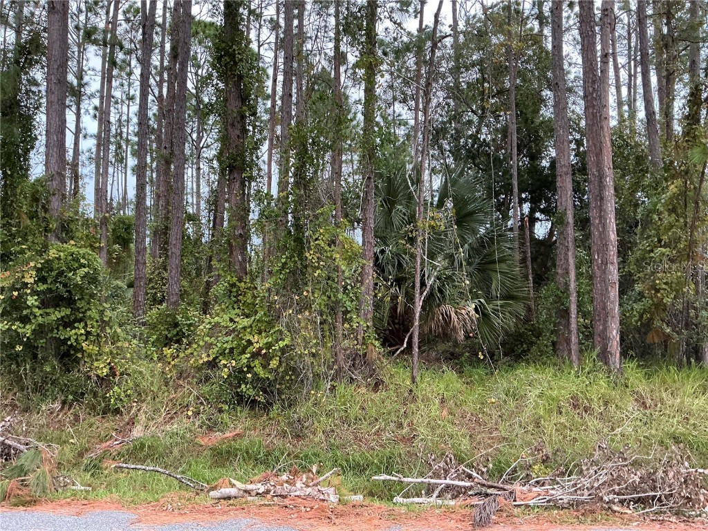 42 Eastwood Drive Palm Coast FL 32164 OM689644 image1