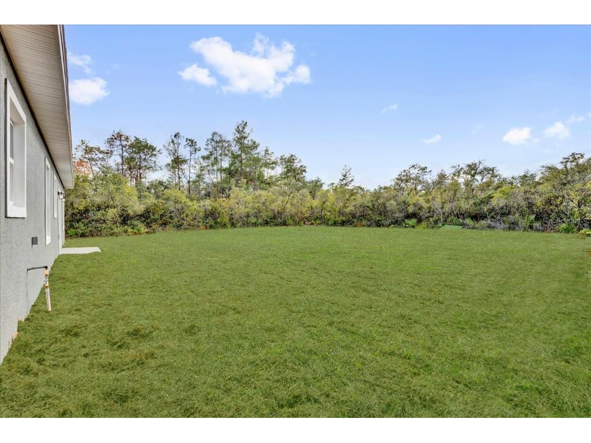 42 Fisher Way Track Ocklawaha FL 32179 O6277922 image28