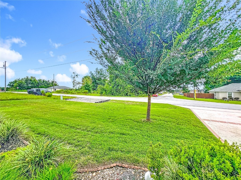 42 Larch Run Ocala FL 34480 V4944555 image61