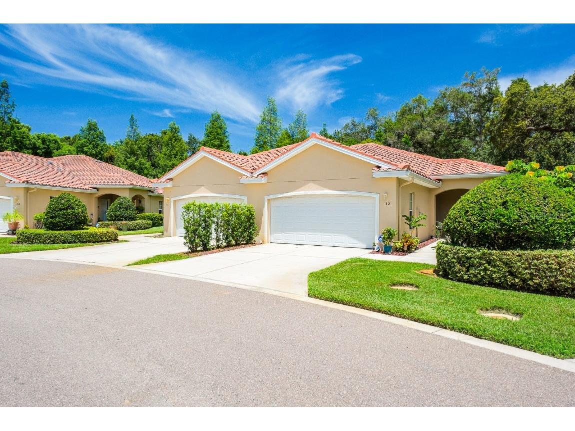 42 Meridian Drive Safety Harbor FL 34695 U8207071 image1