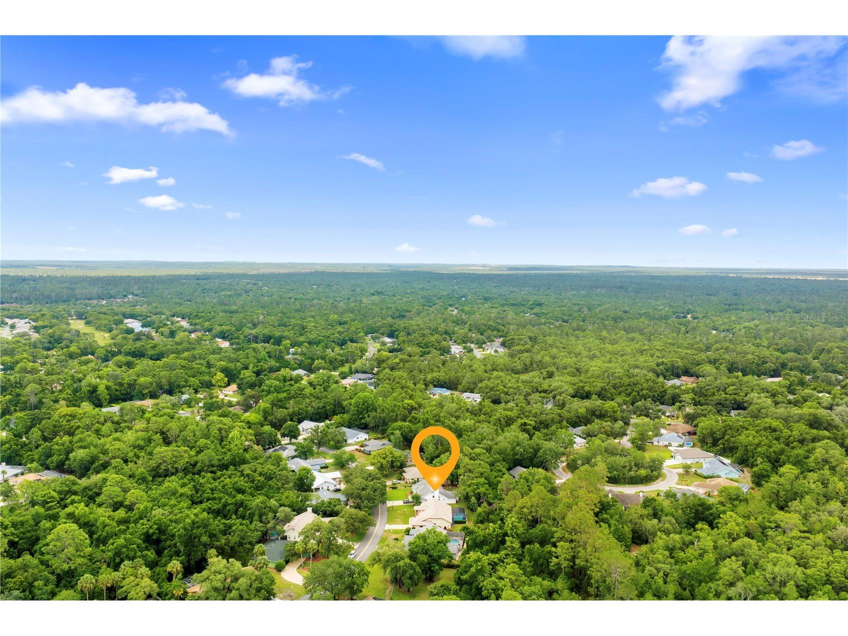 42 Pine Drive Homosassa FL 34446 OM725272 image45