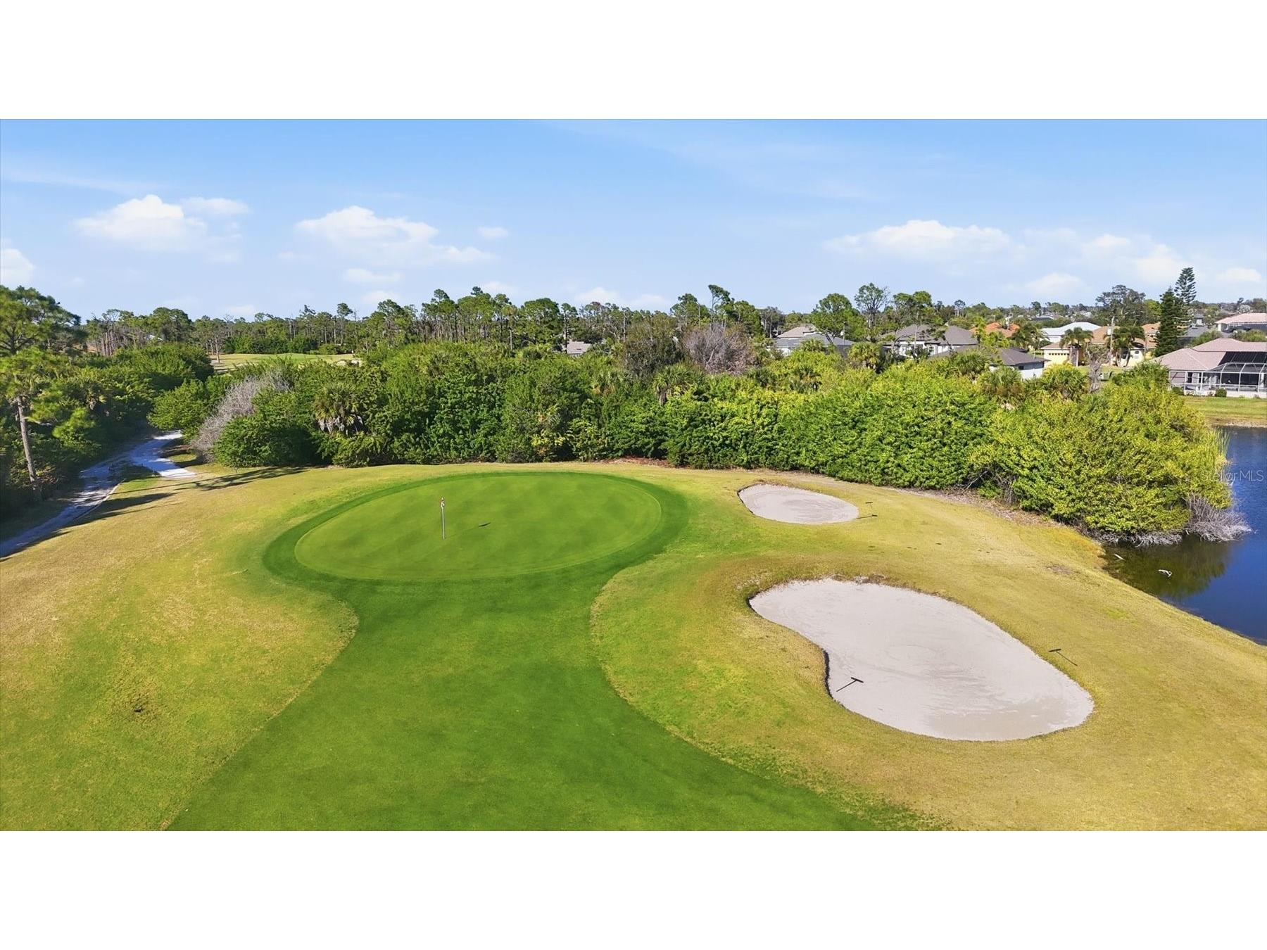 42 Pine Valley Place Rotonda West FL 33947 D6145764 image45